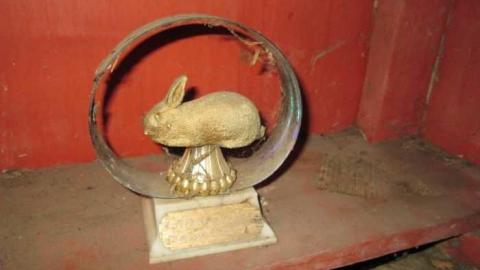 More Then A Photo Shot - Old-Farm89.jpg