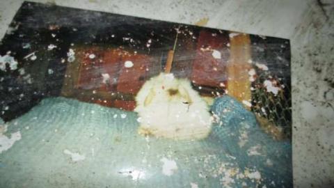 More Then A Photo Shot - Old-Farm93.jpg