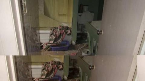 Photo from More Then A Photo Shot