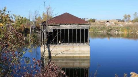 Abandonment  - Where-Cats-Go-To-Die10.jpg