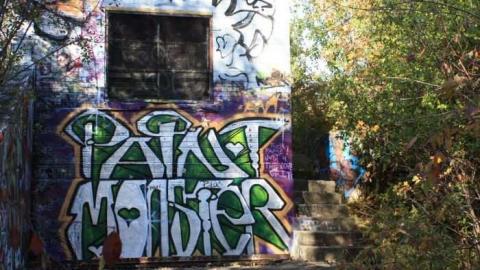 Abandonment  - Where-Cats-Go-To-Die11.jpg