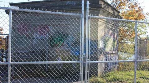 Abandonment  - Where-Cats-Go-To-Die12.jpg