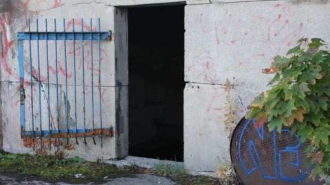 Abandonment  - Where-Cats-Go-To-Die13.jpg