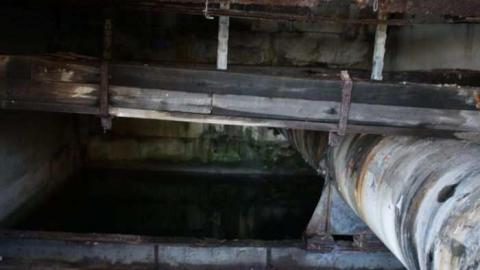 Abandonment  - Where-Cats-Go-To-Die14.jpg