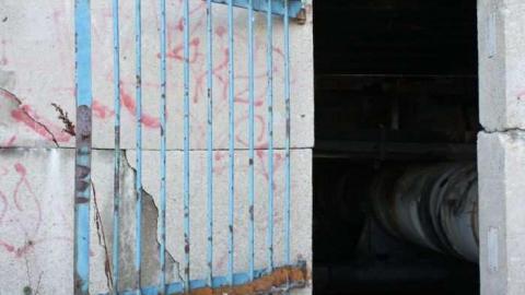 Abandonment  - Where-Cats-Go-To-Die20.jpg