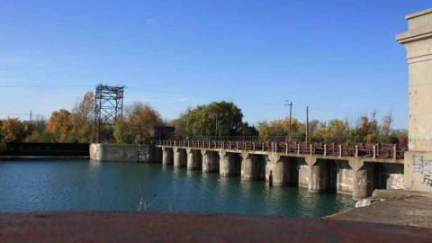 Abandonment  - Where-Cats-Go-To-Die24.jpg