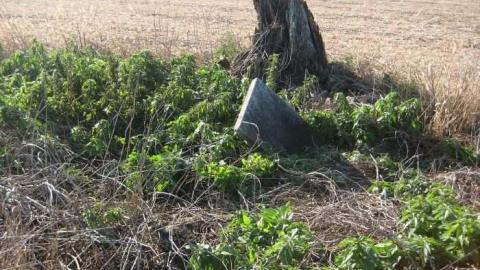 Brennan Plot - Elizabethtown-Kitley, Ontario