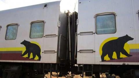 Rail Cars - Abandoned-Passenger-Rail-Cars9.jpg