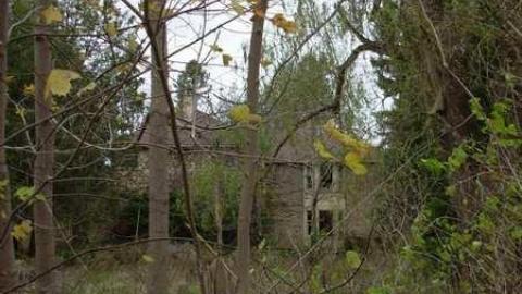 Richmond & Sunningdale - Neglected-Manor223.jpg