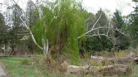 Richmond & Sunningdale - Neglected-Manor221.jpg