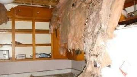 Holy House - TrashedMemories6.jpg