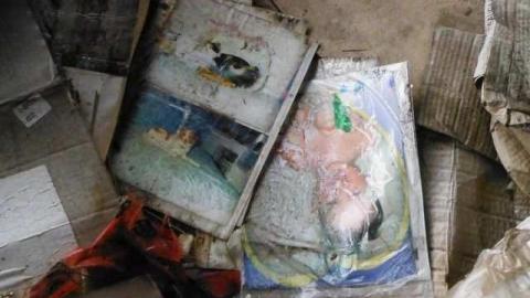 Holy House - TrashedMemories21.jpg