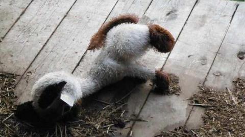 Holy House - TrashedMemories24.jpg