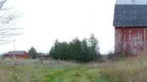 Holy House - TrashedMemoriesP2.jpg