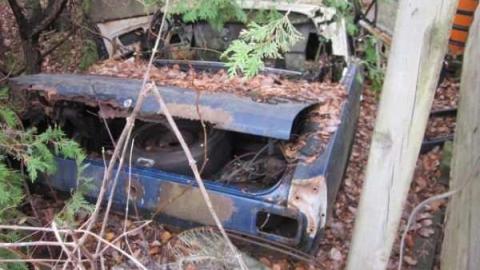 nice little house - IMG_6160.jpg