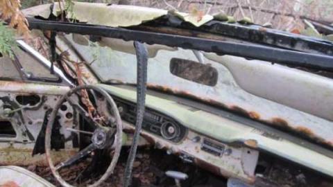 nice little house - IMG_6163.jpg