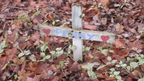 nice little house - IMG_6165.jpg