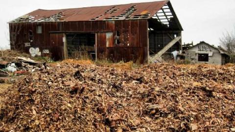 Elfrida Farm Ruins - Corners-Tagged-to-Death8.jpg