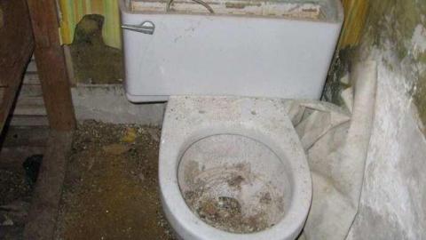 Gallery - Craigleith-Farmhouse-and-Barn24.jpg