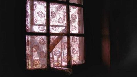 Mississauga Madness - Malton-Mayhem21.jpg