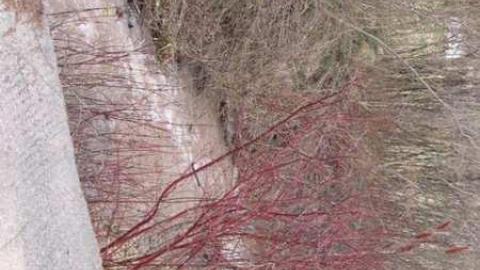 Gallery - Craigleith-Farmhouse-and-Barn33.jpg