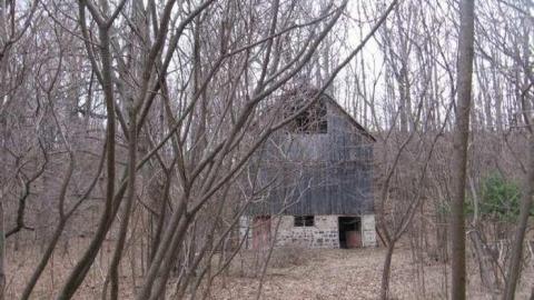 Gallery - Craigleith-Farmhouse-and-Barn35.jpg