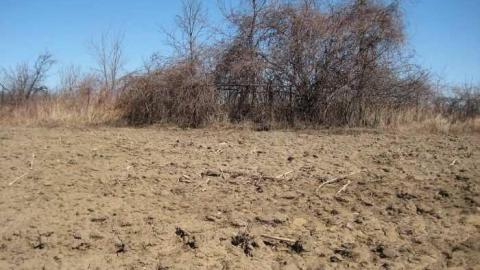 The Forgotten Ones photo 5