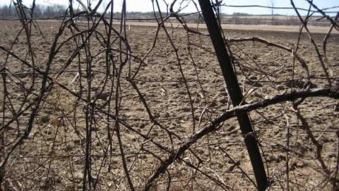 The Forgotten Ones photo 2