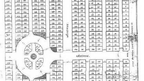 The Forgotten Ones photo 4