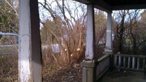 Tobermory Treasure cover photo