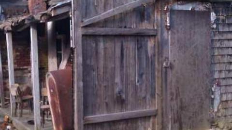 Tobermory Treasure photo 2