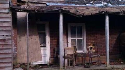 Tobermory Treasure photo 3