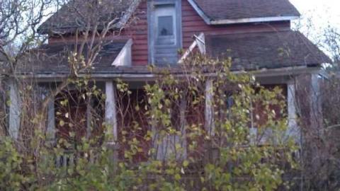 Tobermory Treasure photo 5