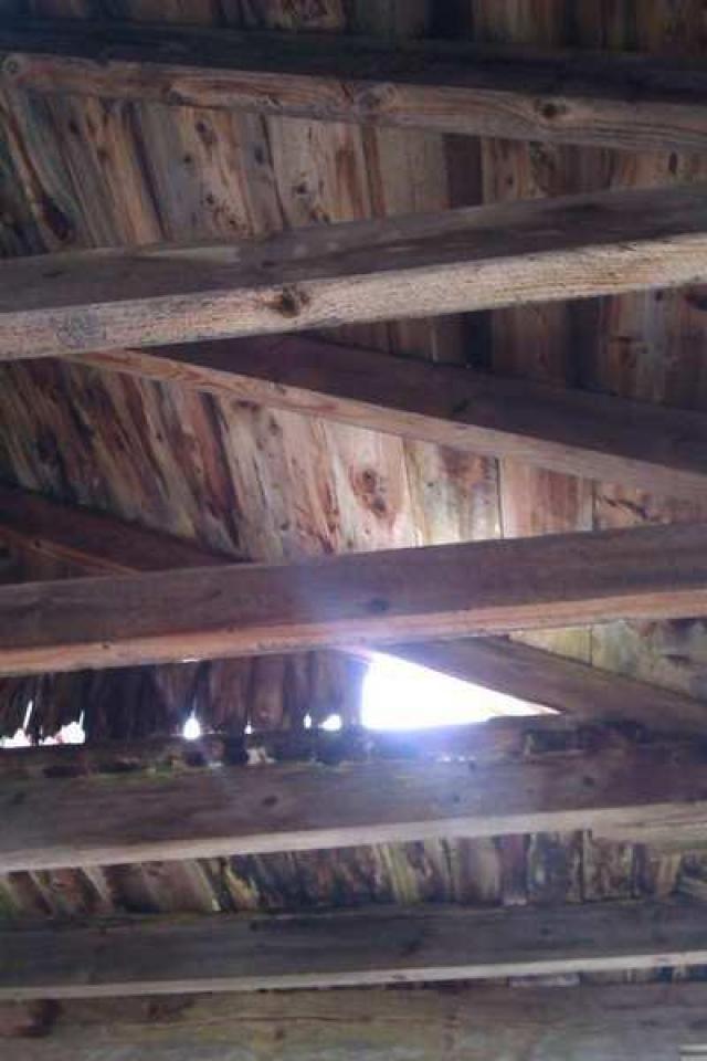 Tobermory Treasure - IMAG0071.jpg