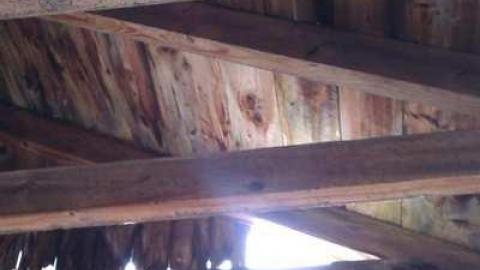 Tobermory Treasure - IMAG0071.jpg