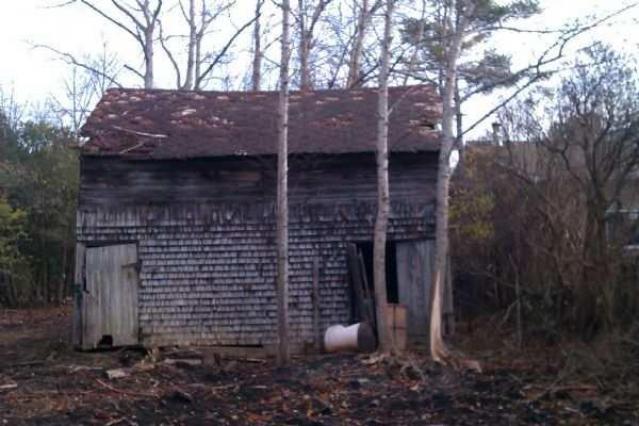 Tobermory Treasure - IMAG0087.jpg