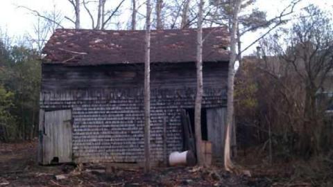 Tobermory Treasure - IMAG0087.jpg