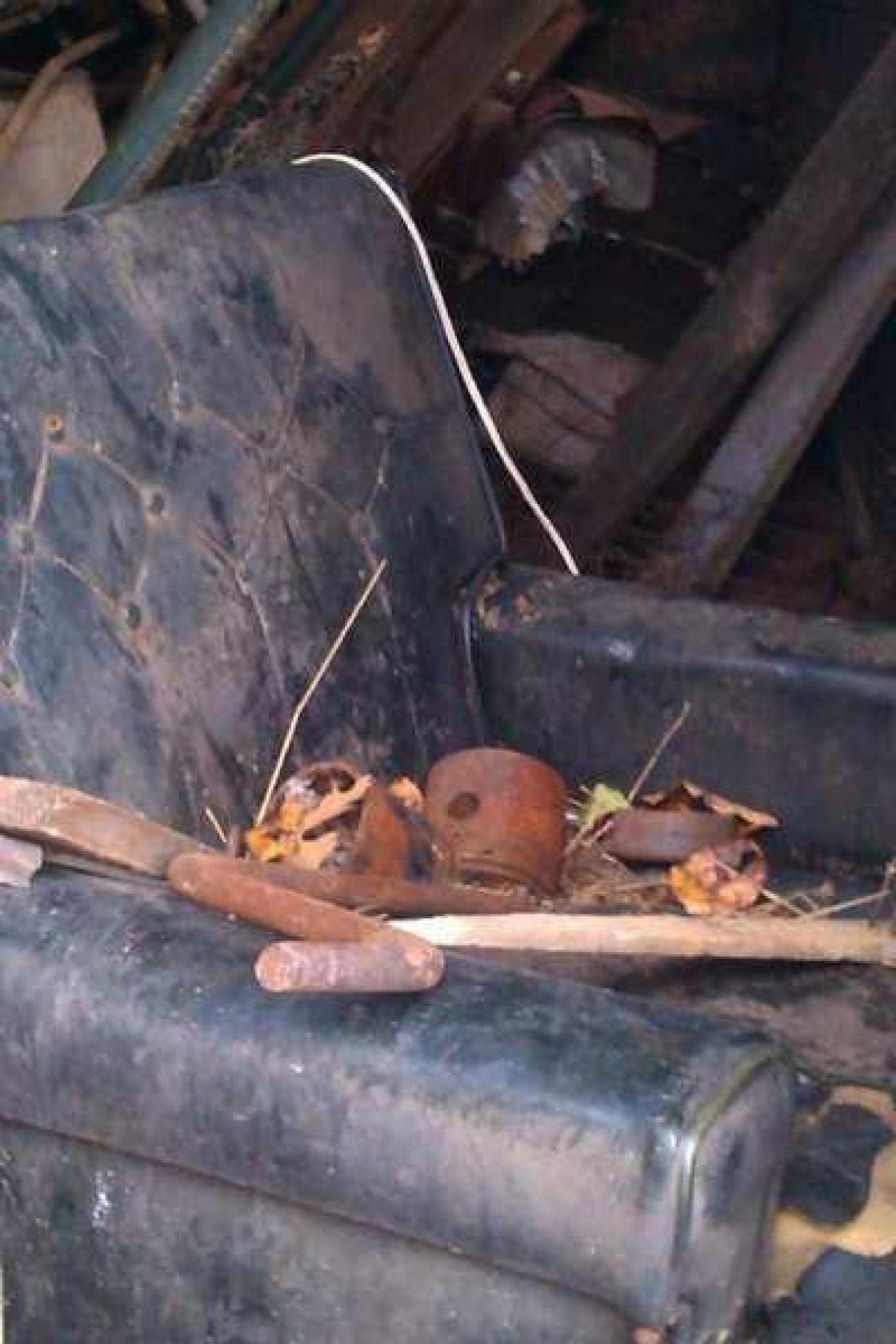 Tobermory Treasure - IMAG0090.jpg