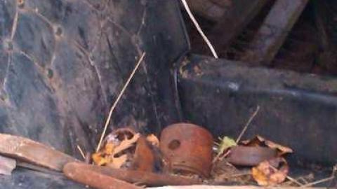 Tobermory Treasure - IMAG0090.jpg