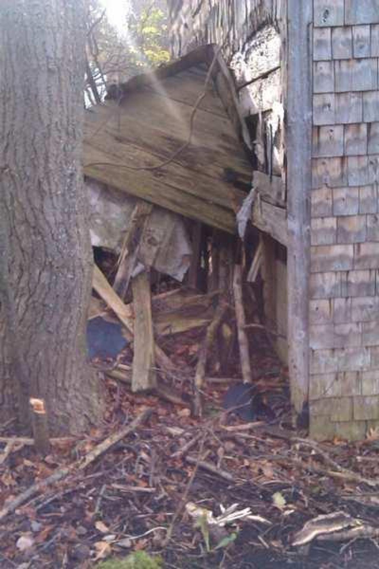 Tobermory Treasure - IMAG0099.jpg