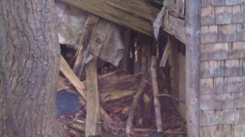 Tobermory Treasure - IMAG0099.jpg