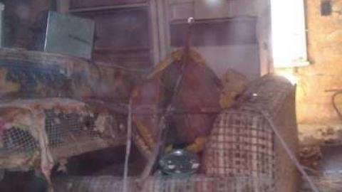 Tobermory Treasure - IMAG0105.jpg