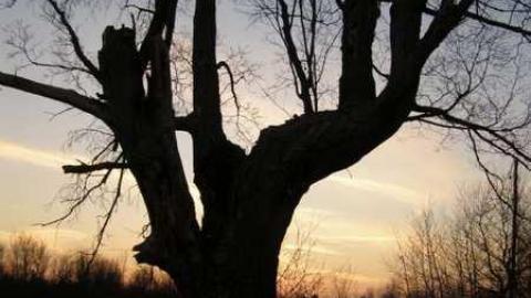 Old Farm - Perth-Farm10.jpg