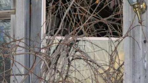 Old Farm - Perth-Farm14.jpg