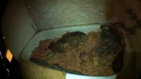 Thorough visit (warning) - nvimage.jpg