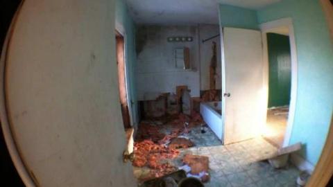 Thorough visit (warning) - hwimage.jpg