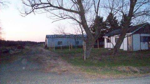 Gallery - Blezard-Valley-Farm2.jpg