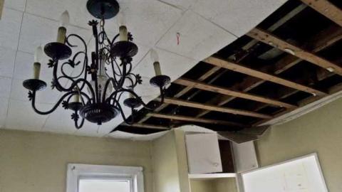 Rubba Dub Duck - DSCN4579.jpg