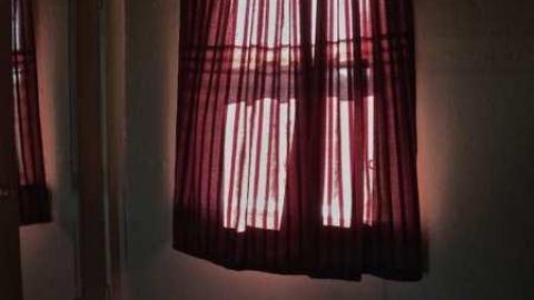 Rubba Dub Duck - DSCN4582.jpg