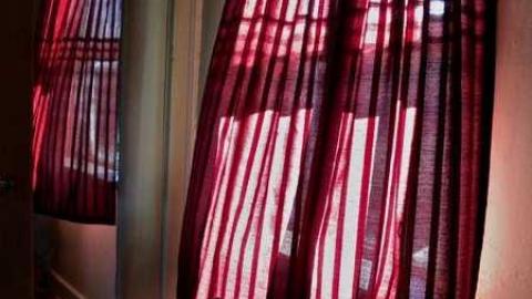 Rubba Dub Duck - DSCN4583.jpg